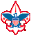 boy-scout-logo